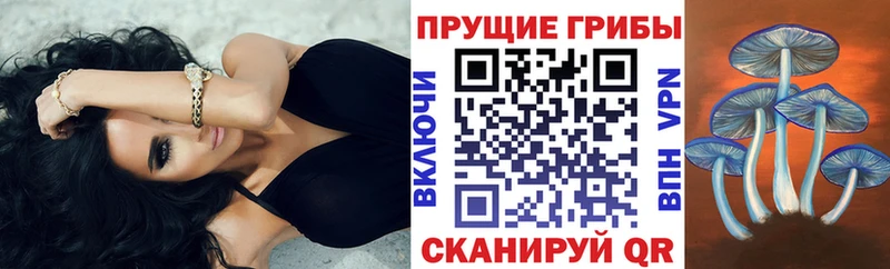 Купить закладки  Аркадак  Галлюциногенные грибы GOLDEN TEACHER 
